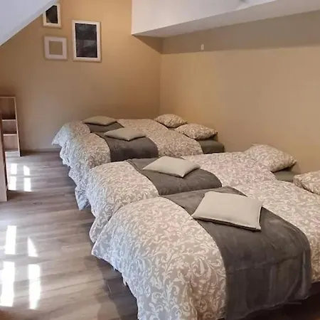 Chalet Charming Chalet In Roisin, 400 M² With Terrace Meaurain