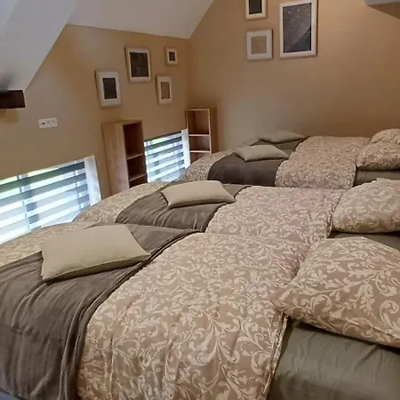 Chalet Charming Chalet In Roisin, 400 M² With Terrace Meaurain