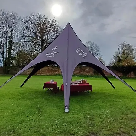 Chalet Charming Chalet In Roisin, 400 M² With Terrace Meaurain