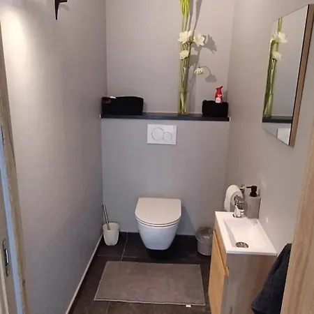 Charming Chalet In Roisin, 400 M² With Terrace *