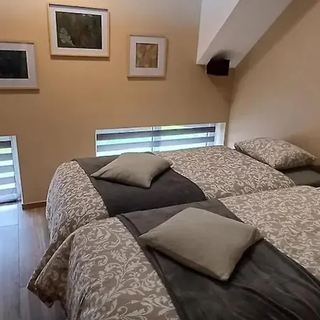 Charming Chalet In Roisin, 400 M² With Terrace Chalet Meaurain