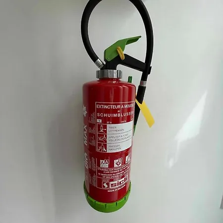 Chalet Charming Chalet In Roisin, 400 M² With Terrace *