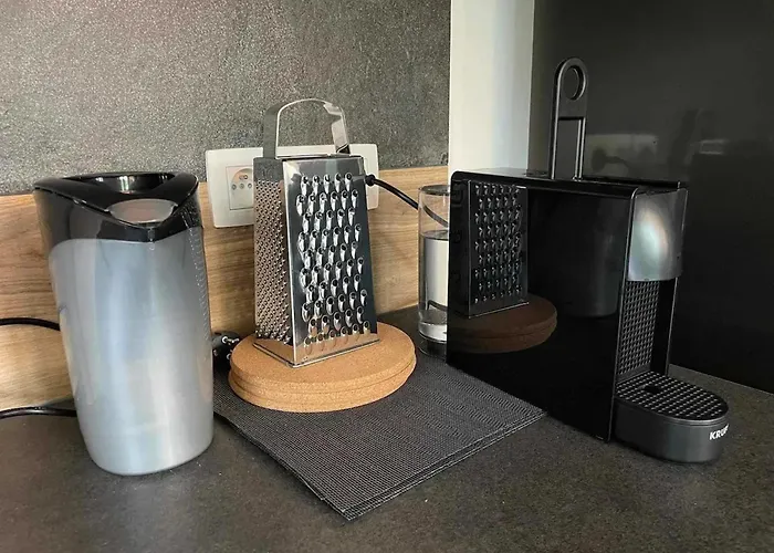 Charming In Roisin, 400 M² With Terrace Meaurain