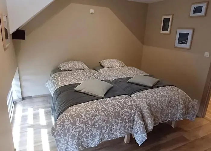 Charming In Roisin, 400 M² With Terrace *