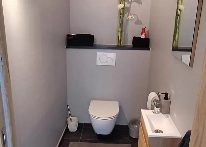 Charming In Roisin, 400 M² With Terrace *