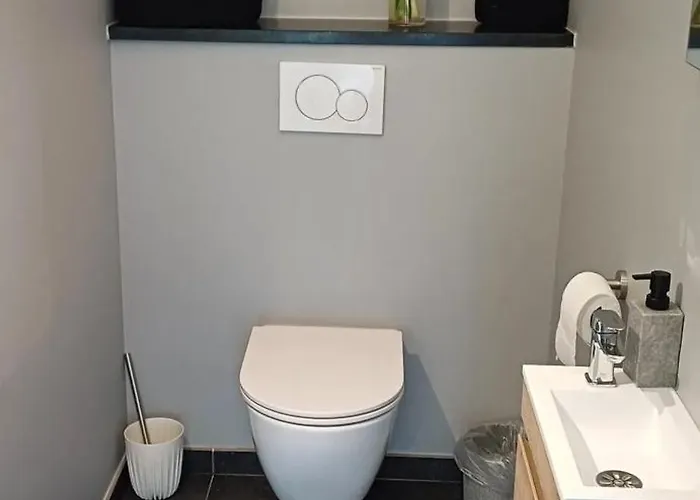 Charming In Roisin, 400 M² With Terrace Chalet Meaurain