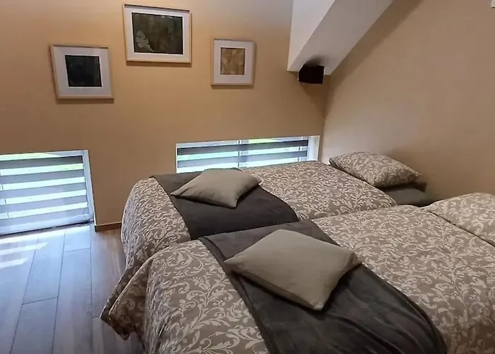 Charming In Roisin, 400 M² With Terrace Chalet Meaurain