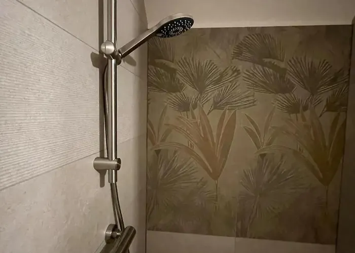 Charming In Roisin, 400 M² With Terrace *